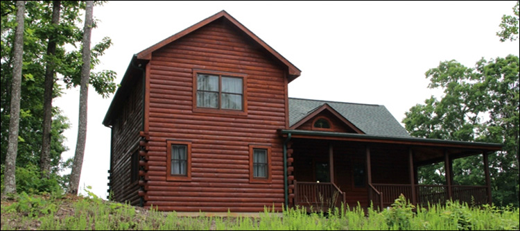 Professional Log Home Borate Application  Staley,  North Carolina